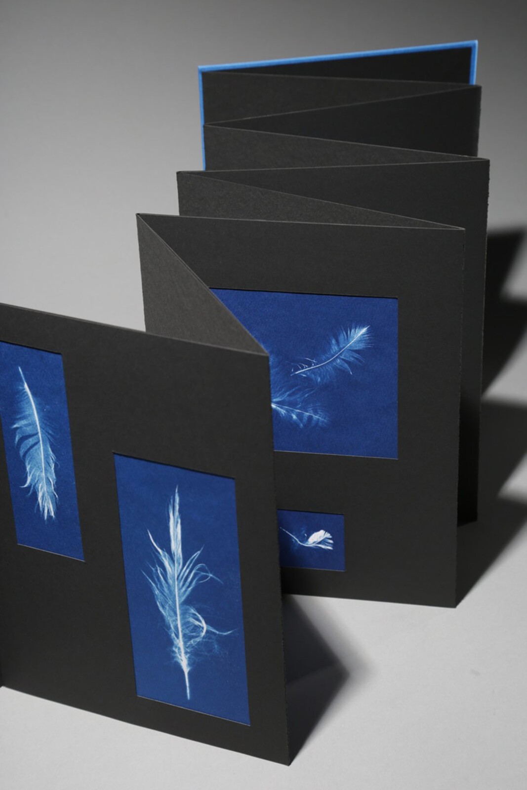 Sande Wascher-James, Anna's Feathers, Book of 18 cyanotypes on watercolor paper